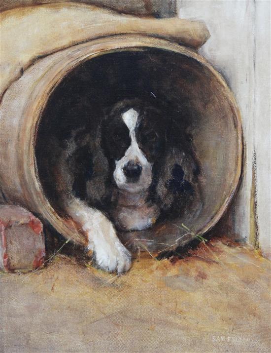 Samuel Fulton (1855-1941) Dog in a barrel kennel 20 x 16in.